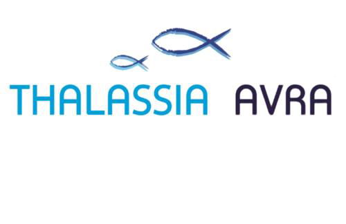 Thalassia Avra Stegna Beach - Foto 30