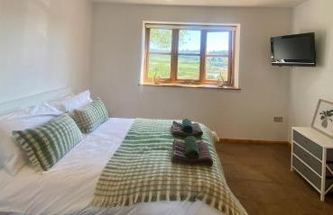 Whitehall Farm - Photo 24