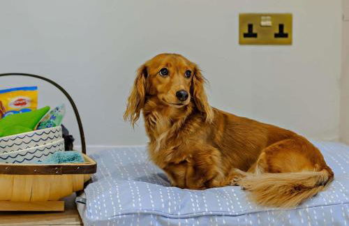 1 Bed in Denholm 91437 - Foto 3