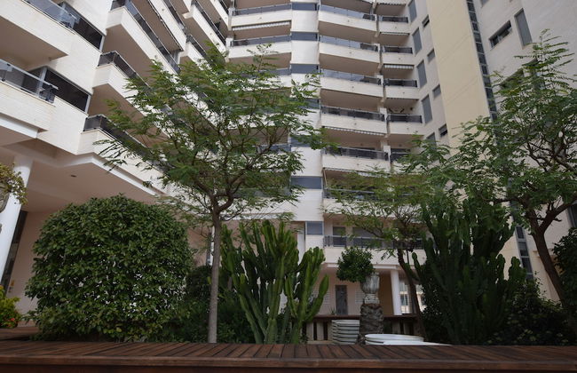 Plaza Mayor - Foto 9