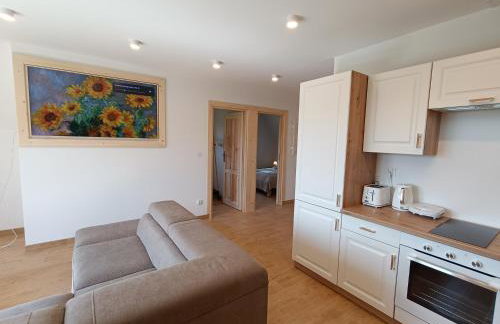 Apartament Kwiat Paproci - Photo 10