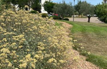 T2 neuf 4 personnes avec piscine/terrain tennis - Foto 27