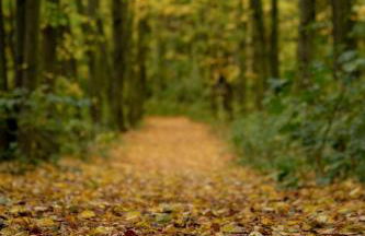 Cottage Wilkenburg - das luxuriöse und idyllische Ferienhaus - Foto 38