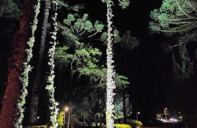 Mountain Village Garden Flat - Foto 37