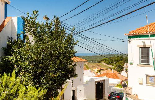 Village House in Sintra hills - Photo 25