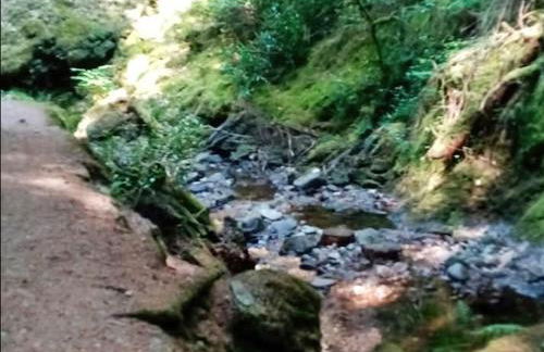 Grouse Lodge - Foto 12