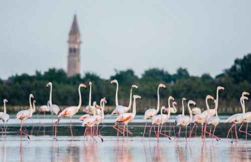 BRUNA HOLIDAYS HOUSE - Photo 15