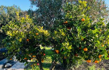 Villa Es Puig, piscina y vistas a la montaña - Foto 54
