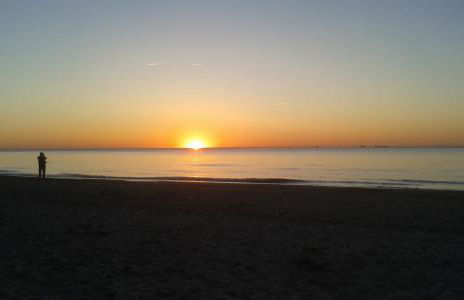 Hofboddenblick - Foto 75