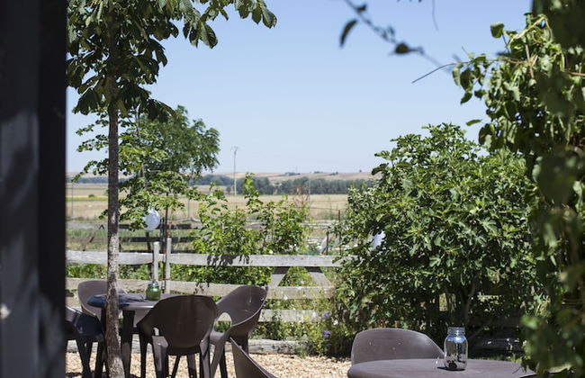 Posada Real del Buen Camino - Foto 38