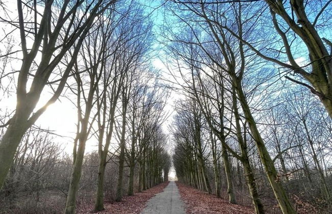 Majestic Villa in Zeewolde With Garden - Foto 40