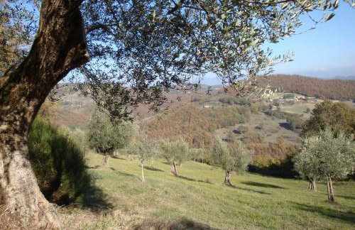 Agriturismo Semidimela - Photo 17