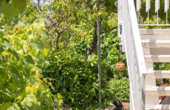 VITEDIMARE APARTMENT SABBIA - SAND - Foto 6