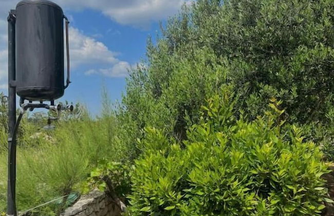 Apartment Nico - Foto 42