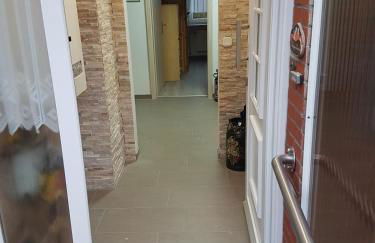 FeWo zwischen den Deichen - Photo 13