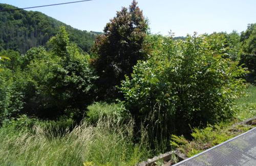 Apartment in Waldbreitbach mit Whirlpool by Interhome - Foto 10