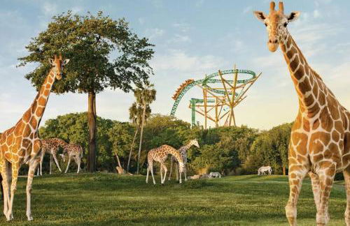 Central Tampa Business Ready Private Room Shared Spaces - Foto 8