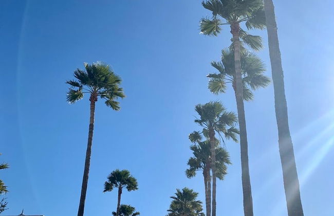 Hyde Park Lane - Foto 35