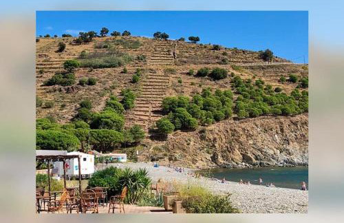 Vue mer, crique de Peyrefite, Cerbère-Banyuls. - Foto 65