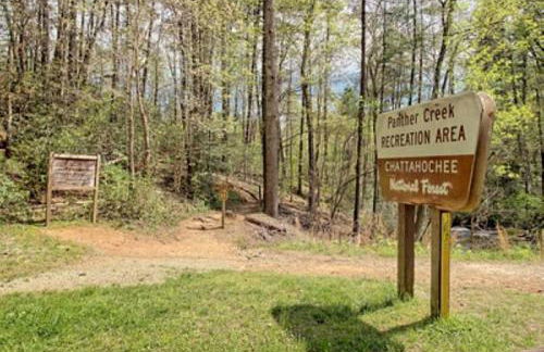 Stunning Cottage Rental Ideal for a Family to Go Glamping in Georgia - Photo 21