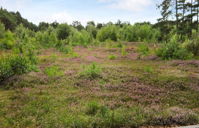 6 Person Holiday Home in Laeso - Foto 21