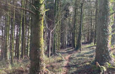 Hollyhocks Holiday Home- 2 bedroomed ground floor apartment sleeps 5 - Foto 34