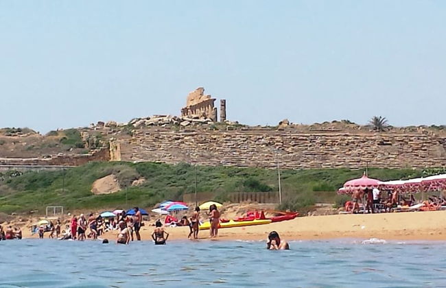 Agrisicilia - Foto 26