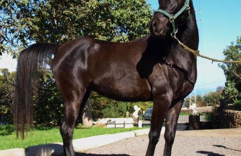 Finca AliBaba - Foto 12