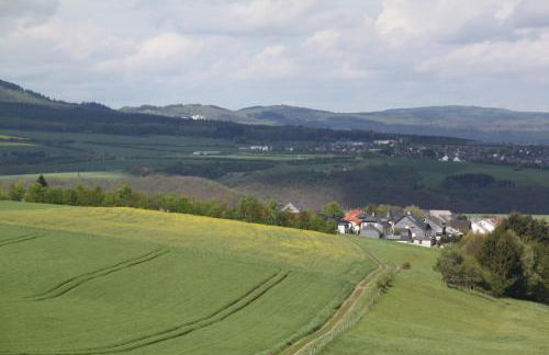 fewogriebelschied - Foto 43