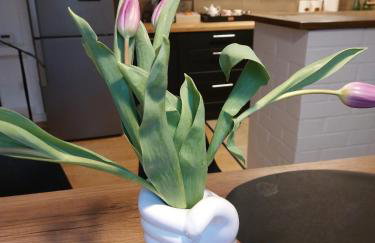 Apartament Mar&Mel - Foto 13