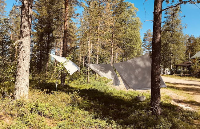 Metsä Kolo - Photo 52