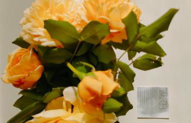 Apartment AL34 - Photo 11