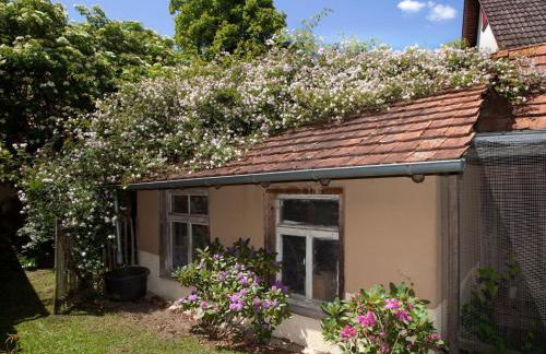 Historischer Vogtshof: eingezäunt | sonniger Garten | Kamin | Denkmalschutz - Foto 56