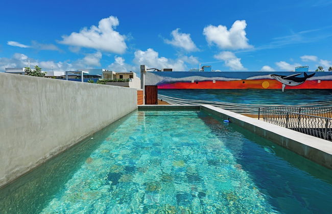 Calea Tulum - Photo 63