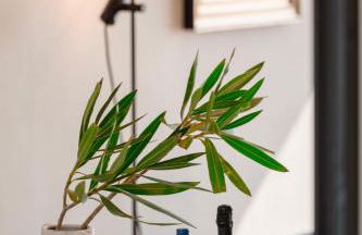 Luxury Sea View Private Pool Residence - Exclusive At Elia Beach Mykonos - Photo 22