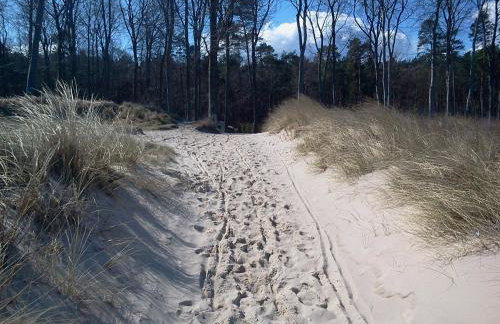Ferienwohnung ÜckeRitz bei Familie Habben mit PKW Stellplatz - Foto 65