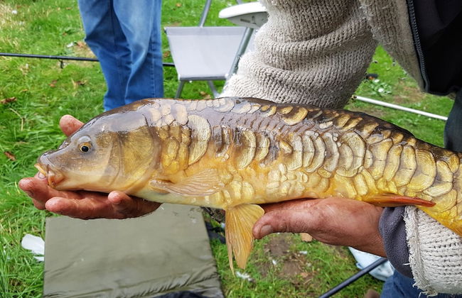 Thornbury Holiday Park - Foto 65