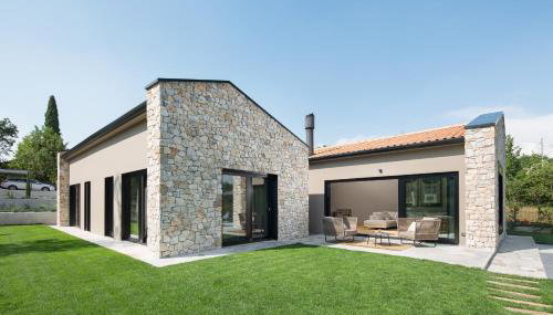 Ulmus - Foto 3, Other