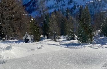 Rosa Blu Mountain Suite - Photo 67