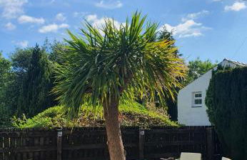 Green Cottage - Snowdonia - Foto 85