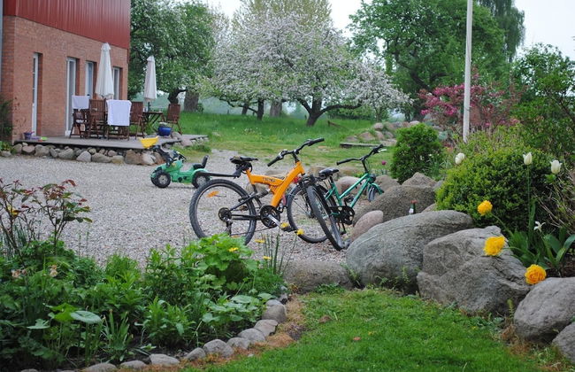 Hof Faasel Bauernhofurlaub an der Ostsee - Photo 34