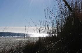 Ferienhaus mit Terrasse - Insel Usedom - Foto 31