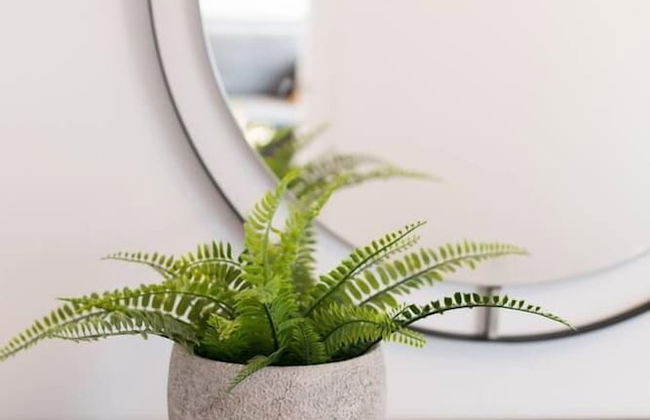 Spacious 2 Bedroom Condo in Little Italy - Foto 15