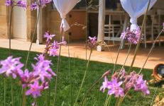 TORRE VECCHIA RELAIS - Foto 23