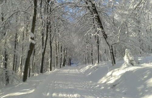 Attendorner Burgblick - Foto 18
