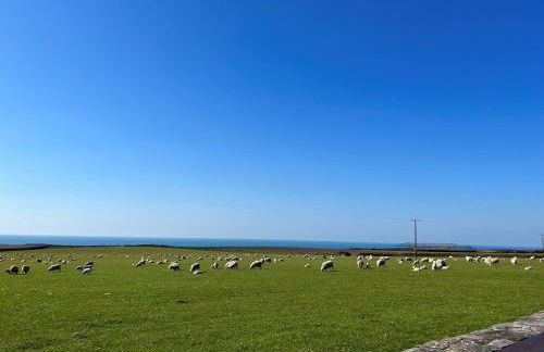 3 Bed in Marloes 52794 - Foto 33