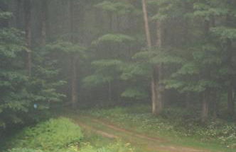 Forest Mountain Escape: Beautiful Mountaintop Escape In Mendon, Vt. 20 Min To Killington/14 To Pico. 4 Bedroom Home - Foto 80