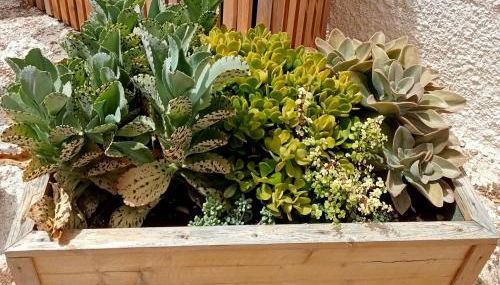 "Minerva" da Sabrina - Photo 5