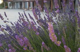 Cascina Longoria - Foto 28