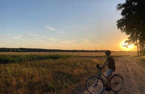Góra Spokoju Osada klimatyczna-leśna - Foto 17